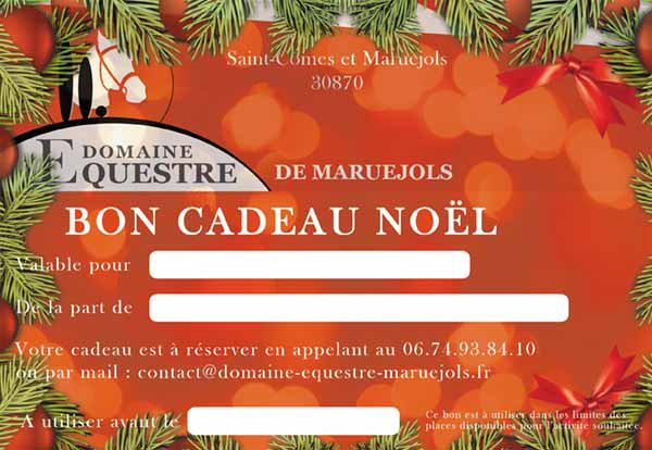 Noël : offrez une carte cadeau !
