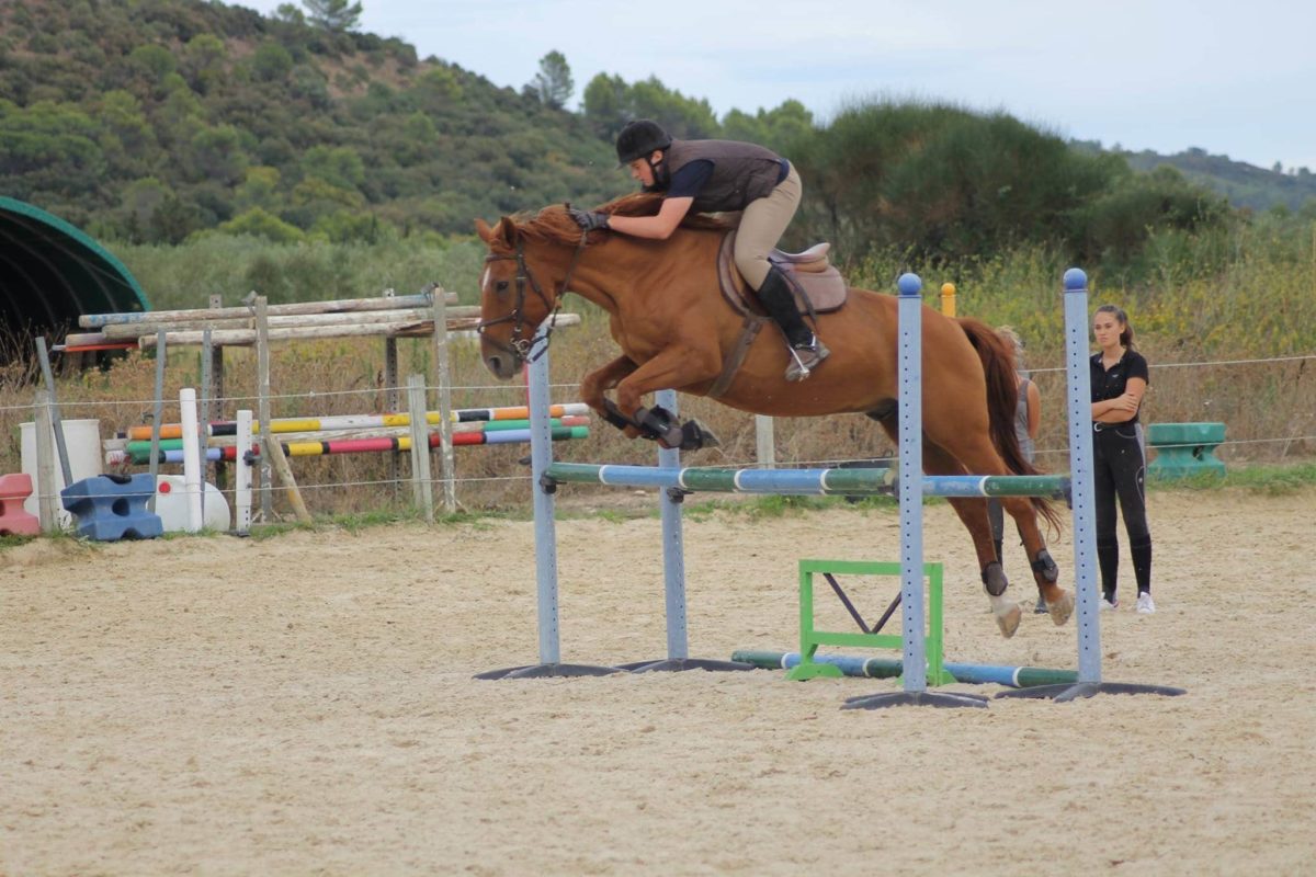 Cours compétition, Domaine équestre de Maruejols