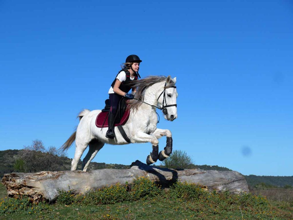 Cross, stage galops, Domaine équestre de Maruejols